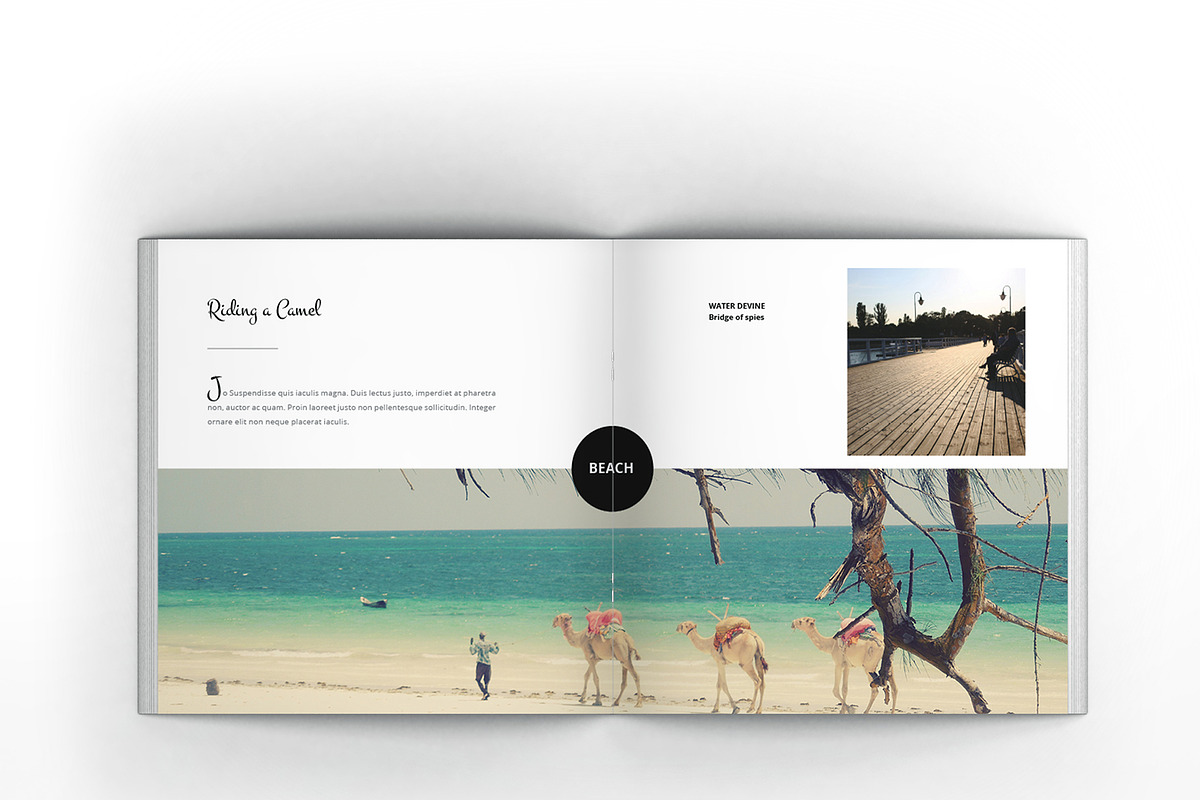 Multipurpose Square Clean Brochure, a Brochure Template by Incools Stokie (Photo 13 of 14)