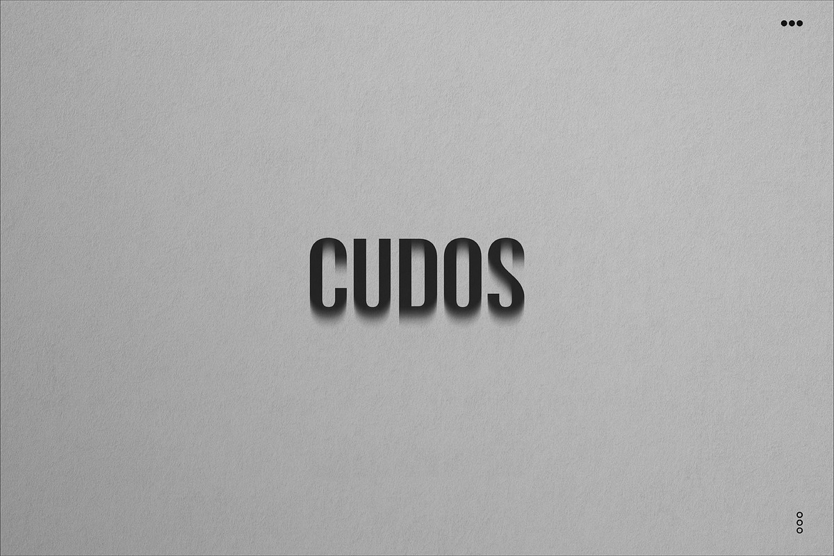 NEON | Real Neon Light Leaks & Glows, a Brushes & More by CUDOS (Photo 20 of 20)