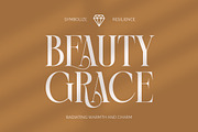 Rich Dashy Modern Elegant Serif, a Script Font by timelesstype.co (Thumbnail 9 of 20)