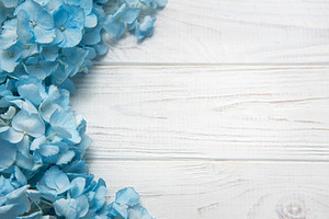 Blue hydrangea flowers blooming on white wood background, a Holiday Photo by Olena Rudo