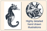 Marine Animal Hand Drawn Elements, an Animal Illustration by Artolabs (Thumbnail 2 of 6)