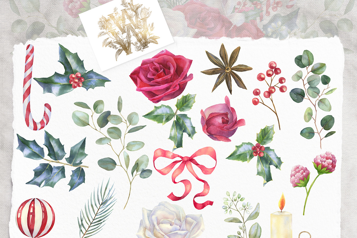Watercolor floral Christmas pack, a Decorative Illustration by WonderWonder (Photo 7 of 20)