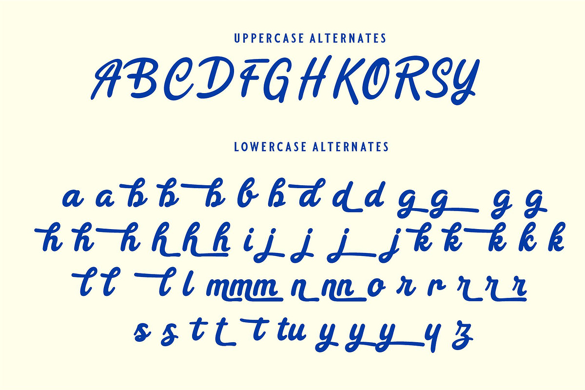 REYAL BEACH | BOLD SCRIPT, a Script Font by Havinkpen (Photo 12 of 14)