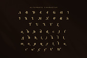 Romer Elegant Serif Font, a Serif Font by Graphicxell (Thumbnail 8 of 8)