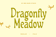 Dragonfly Meadow - Tall Serif, a Serif Font by MEG BURK CHOI (Thumbnail 2 of 3)