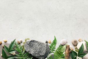 Minimalist Nature Background with Greenery and Stones, an Arts & Entertainment Photo by Natalia Klenova's Shop