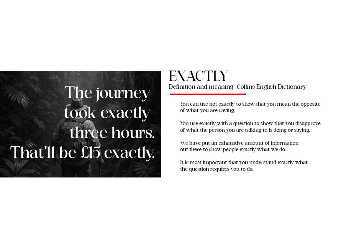 Exactly // Font Serif Family, a Serif Font by artisans (Photo 2 of 7)