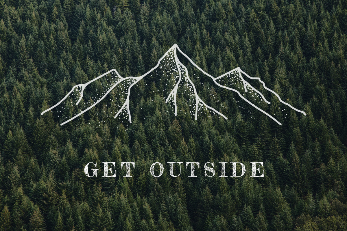 Wild Nature - Ink Illustrations, an Animal Illustration by Build Interactive (Photo 4 of 4)