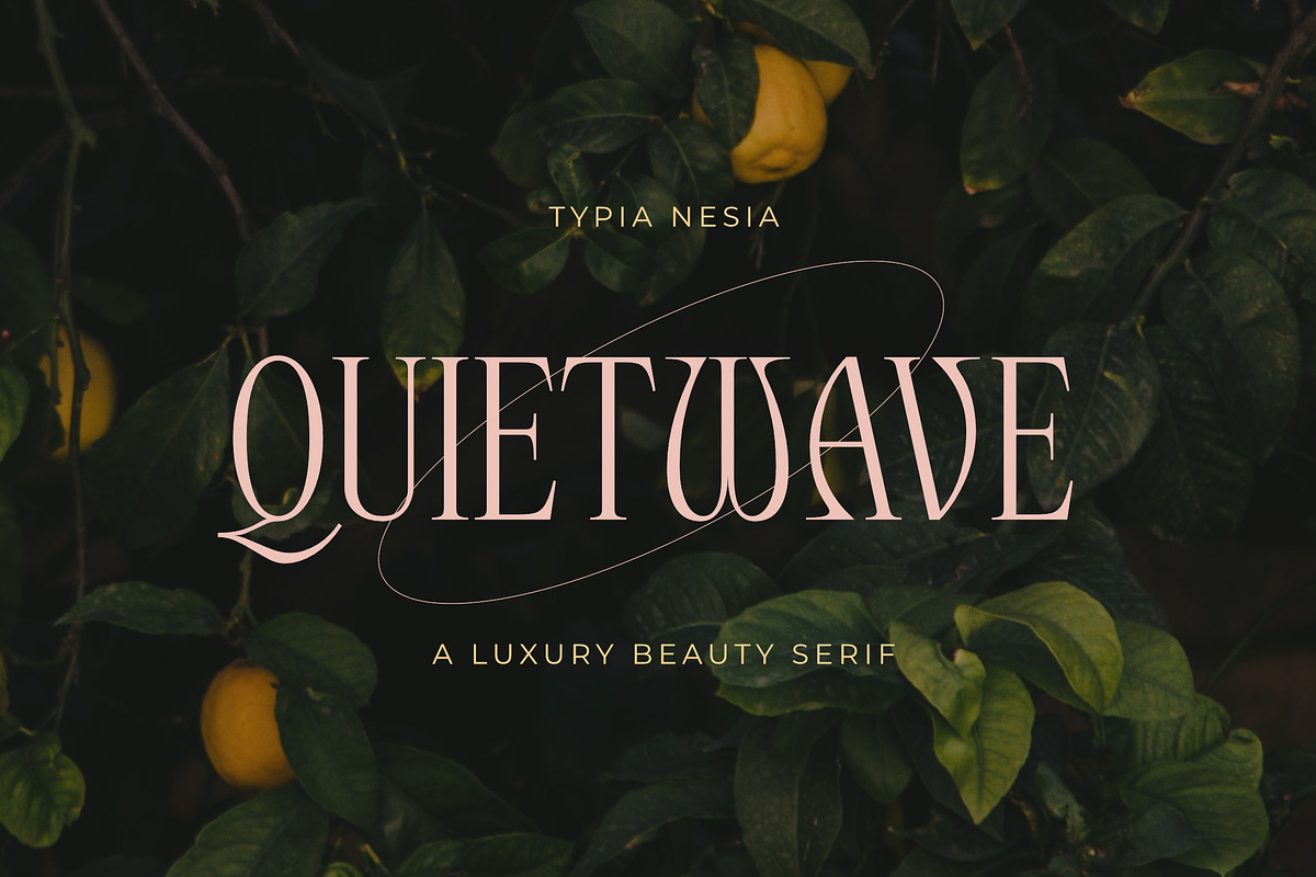 Quitewave Serif, a Serif Font by Typia Nesia (Photo 1 of 10)