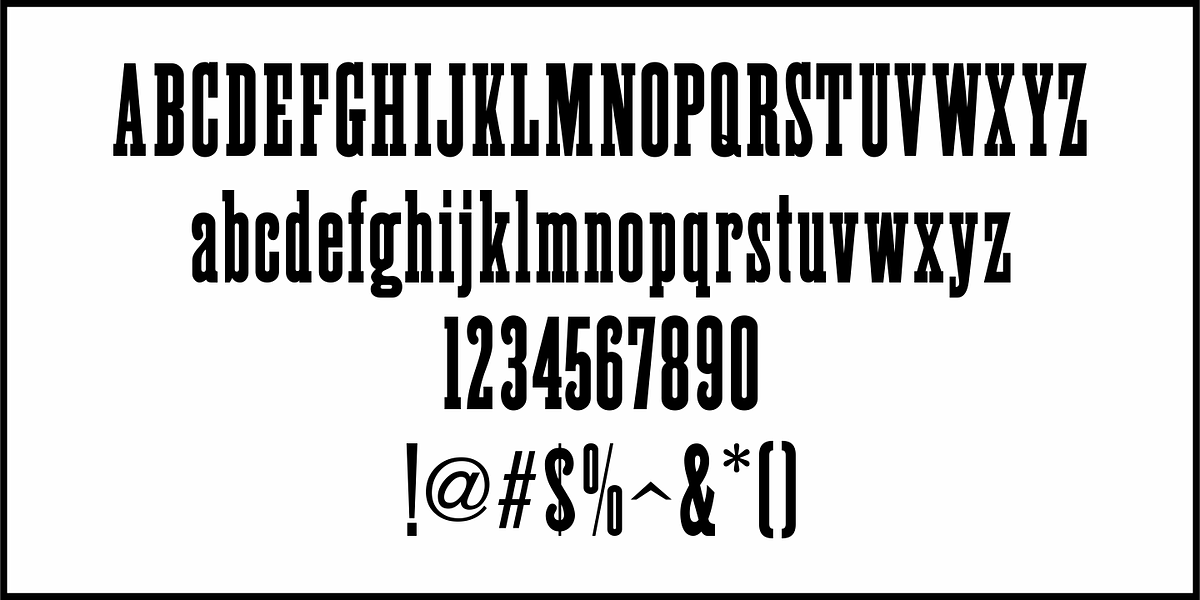 General Merchandise JNL, a Slab Serif Font by Jeff Levine Fonts (Photo 3 of 5)