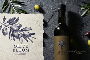 Vintage Olive Hand Drawn Collection, a Food Illustration by Elena Pimonova