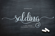Saldina Script, a Script Font by vanroem (Thumbnail 1 of 13)