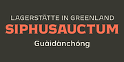 Meguro Serif, a Serif Font by GT&CANARY (Thumbnail 8 of 12)