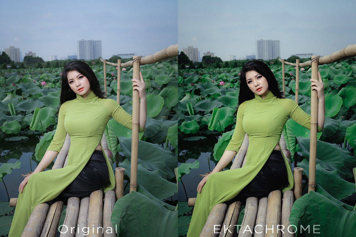 3d LUTs - Slide Film Chrome, a Plug-in Add-On by Click Click Studio (Photo 6 of 7)
