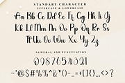 Story Beauty, a Handwritten Font by FreshTypeINK (Thumbnail 7 of 8)