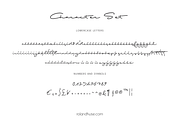 Shopping Script Variable, a Script Font by Roland Huse Design (Thumbnail 6 of 7)