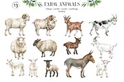 FARM ANIMALS Encyclopedia, an Animal Illustration by Anastezia Luneva (Thumbnail 5 of 14)