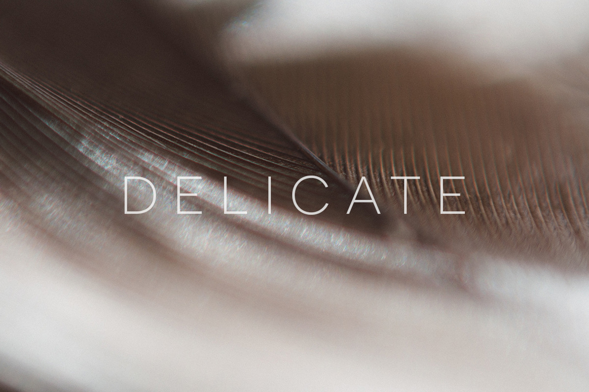 Delicate | 20 Feather Photos, a Nature Photo by Melanie Helena (Photo 17 of 20)