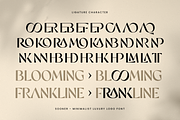 Sooner - Minimalist Luxury Logo Font, a Sans Serif Font by Sensatype (Thumbnail 10 of 13)