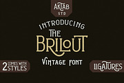 Brilout Display Font, a Sans Serif Font by Aktab Studio (Thumbnail 1 of 12)