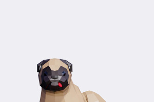 Low Poly Pug Dog