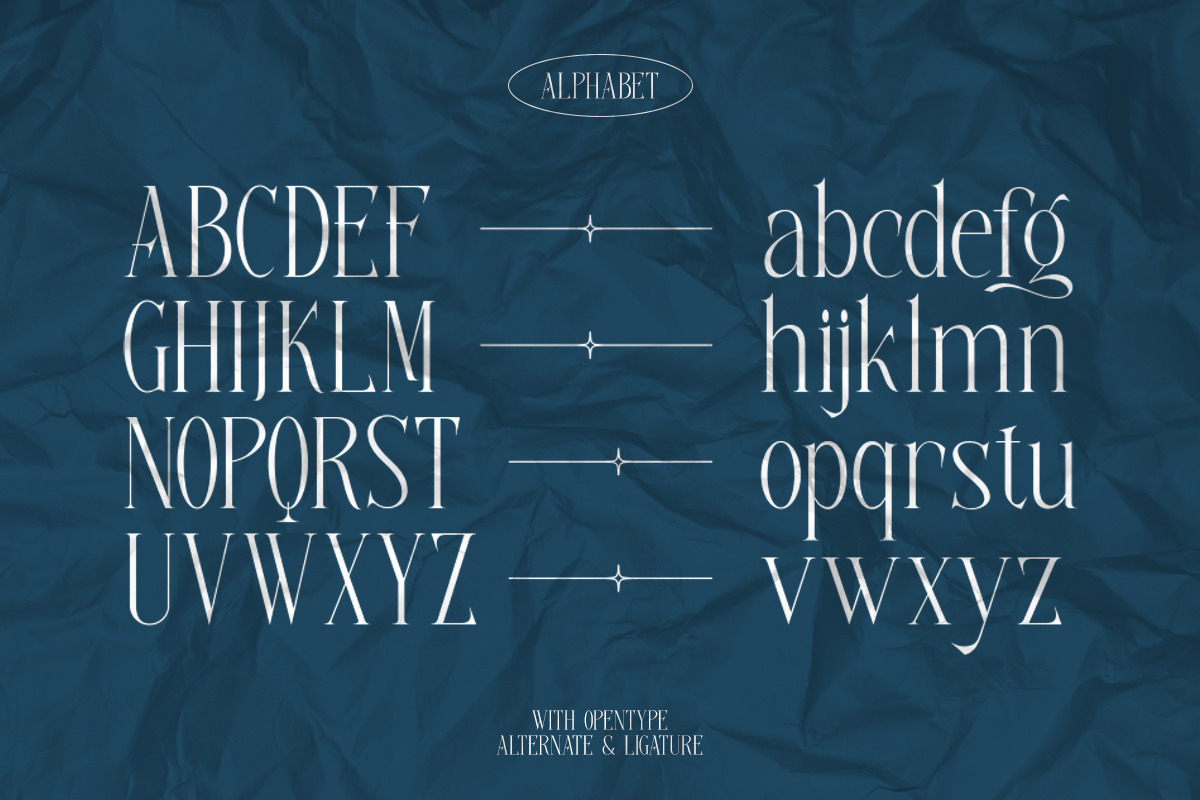 Aerial | Multipurpose serif, a Serif Font by ClevUs (Photo 10 of 12)