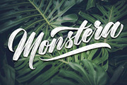 Procreate Thick & Thin Brush Set, a Brush Add-On by Cynlop Ink (Thumbnail 7 of 7)
