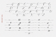 Amastay - Modern Ink Calligraphy, a Handwritten Font by Myn Type (Thumbnail 15 of 15)