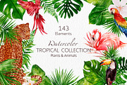 Tropical Collection Watercolor, a Decorative Illustration by Yakovleva Margarita (Thumbnail 1 of 20)