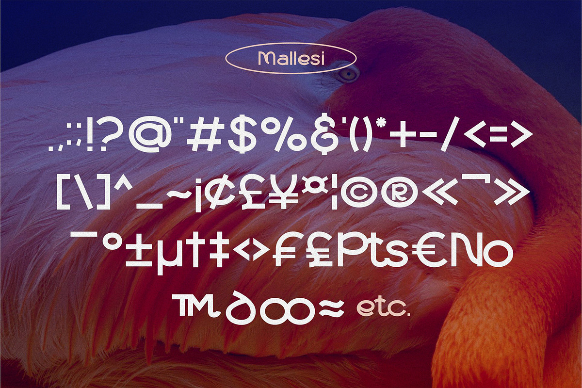 Mallesi Modern Sans, a Sans Serif Font by 160 Studio (Photo 11 of 13)