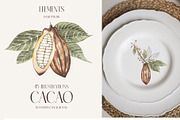 Watercolor Cacao Beans, a Food Illustration by MayaNavits (Thumbnail 8 of 13)