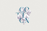 Cotton set, a Decorative Illustration by handsketched (Thumbnail 5 of 15)