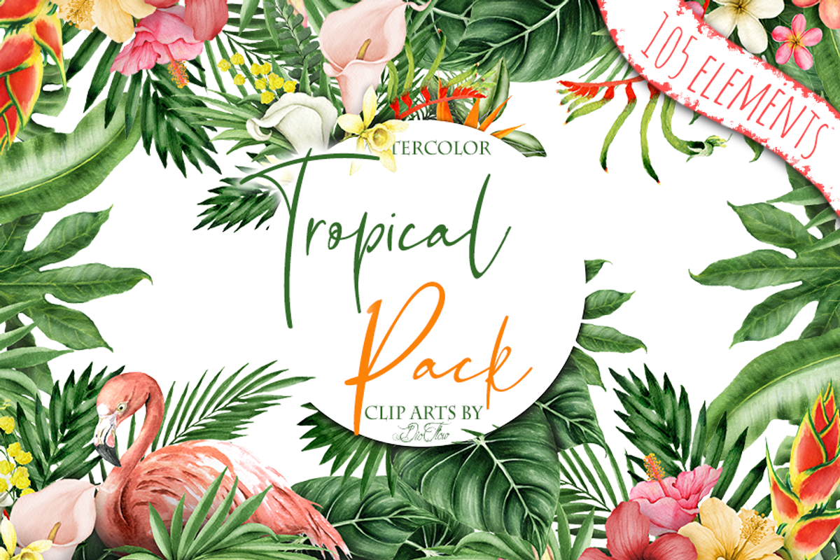 Tropical Big Pack Watercolor Clip, a Decorative Illustration by DioFlow (Photo 1 of 26)