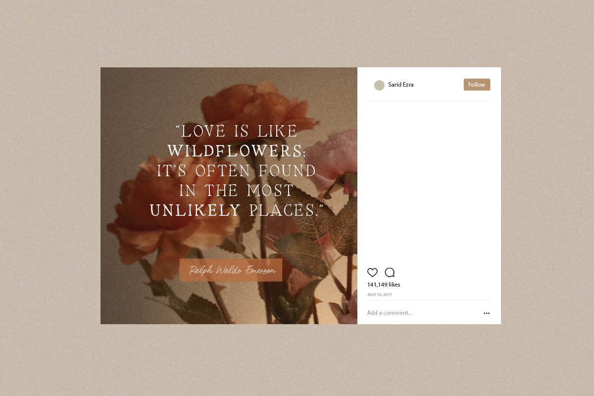 Etania & Ezra - Organic Font Duo, a Script Font by Sarid Ezra (Photo 4 of 12)