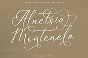 Alnetsia Montenela Luxury Script, a Script Font by Storytype Studio (Thumbnail 1 of 15)