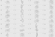 Procreate flower stamp, a Brush Add-On by AnnaPolitmerskaja (Thumbnail 5 of 6)
