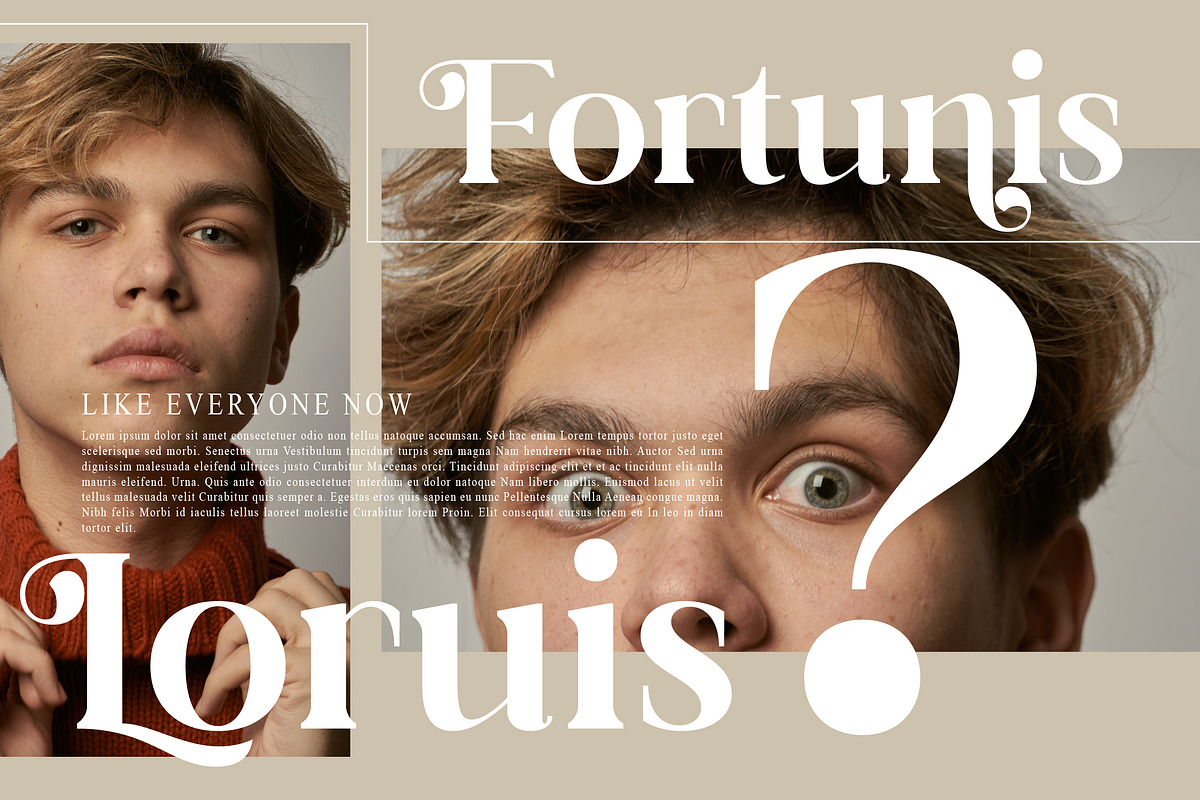 Dalime Stylish Modern Serif Font, a Serif Font by Storytype Studio (Photo 4 of 15)