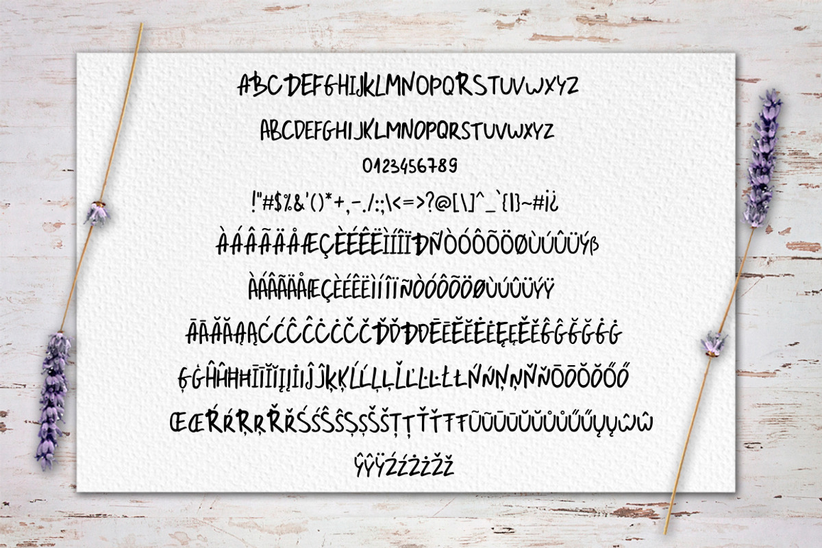 Rosemary & Lavender.Font duo+logos preview 6