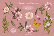 Summer flowers and leaves collection, a Pattern Graphic by Peviotadesign (Thumbnail 4 of 8)