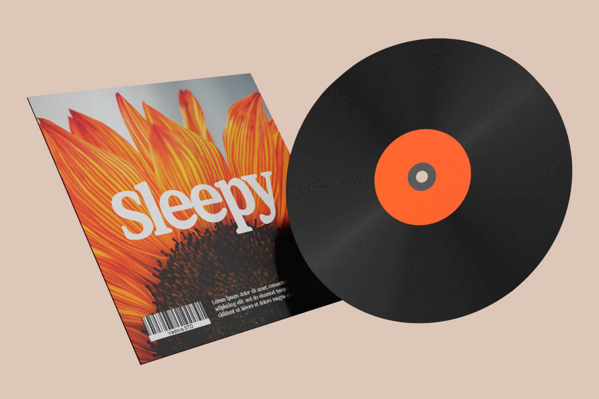 Elfeno Editorial Display Serif Font, a Serif Font by Vadovastd (Photo 6 of 7)