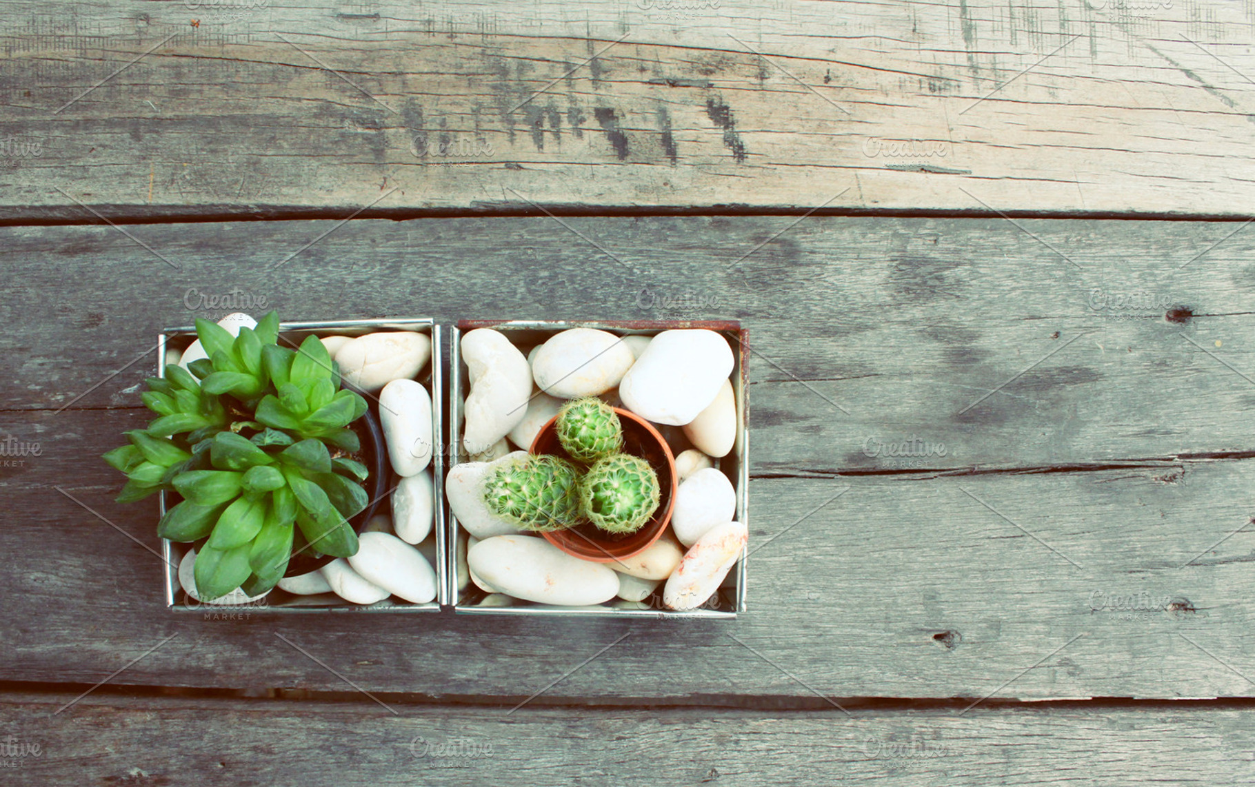 Mini Plant Pots On Wooden Table
