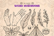 Weird Mushrooms, an Object Illustration by Ink Stories (Thumbnail 5 of 23)