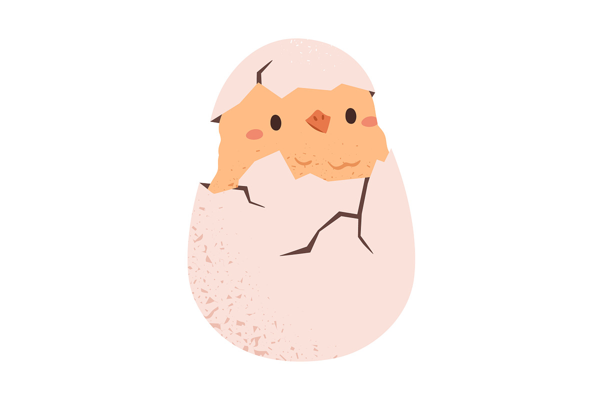 Chicken hatching from egg stages, an Animal Illustration by Good Studio (Photo 3 of 6)