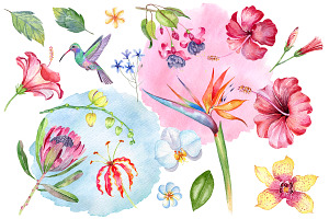 Exotic Flowers Watercolor Clipart