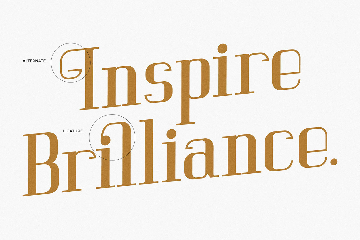 Vittorika Modern Serif Font, a Serif Font by Letterena Studios (Photo 8 of 15)