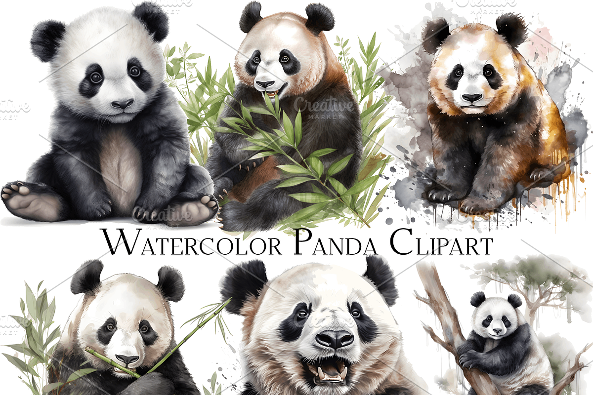 Watercolor Panda Clipart, an Object Graphic by ArtisticTimberStudio
