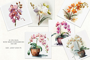 Watercolor Orchid Flowers