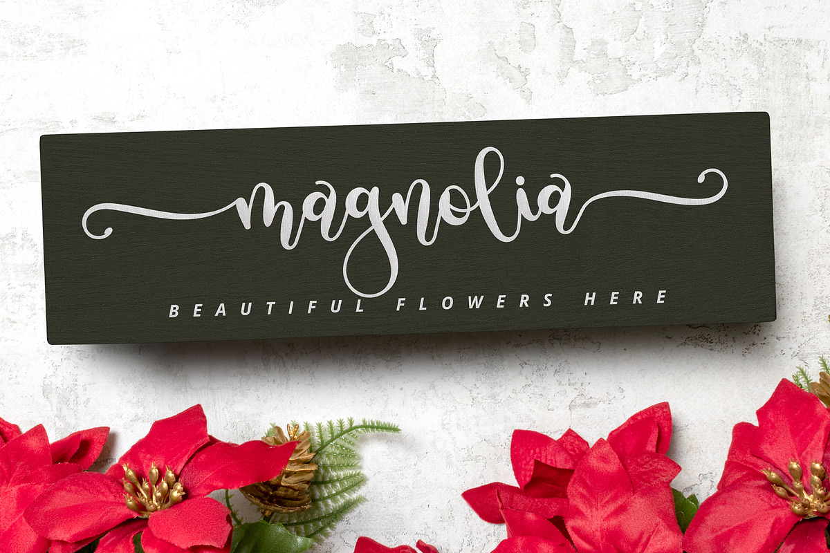 Cracker Vanilla - Cute Pretty Font, a Script Font by Airotype (Photo 8 of 13)