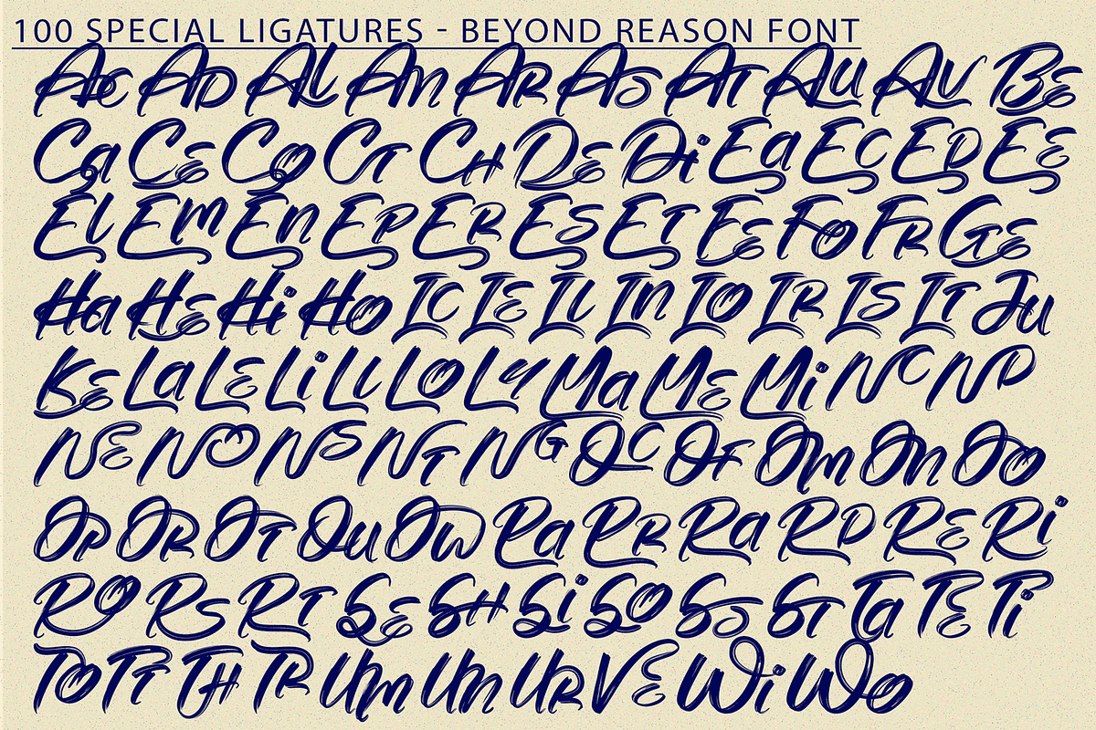 BEYOND REASON | Brush Font, a Script Font by 177Studio