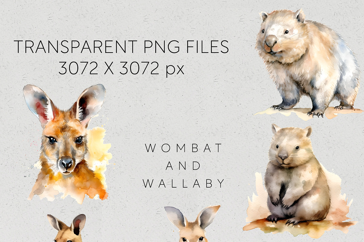 Bulk Australian Animals Clipart PNG, an Animal Illustration by Pawcasso's Portraits (Photo 3 of 10)